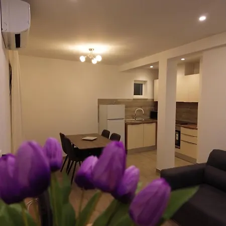 Novi Skrape U Samom Centru S Parkingom Apartment *